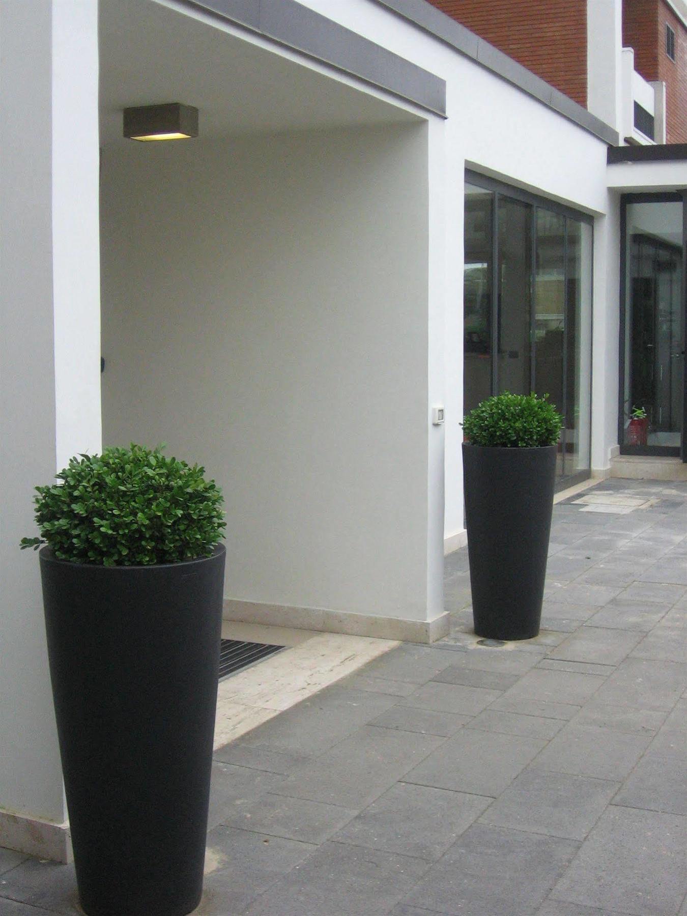 Garden Hotel Latina Exterior photo